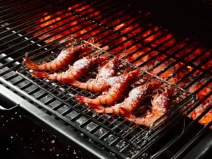 Josper - QBE Grillkul - Trækul, Hvid Quebracho træ, 9,5 kg sæk - Billede 5