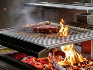 Josper - QBE Grillkul - Trækul, Hvid Quebracho træ, 9,5 kg sæk - Billede 4
