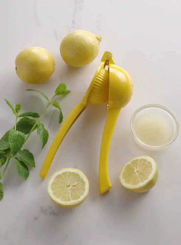Citruspresser, 223x75x45mm - Billede 4