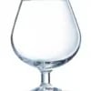 Degustation Brandy Glas 25 cl Arcoroc