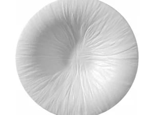 Fiord pasta tallerken 250 mm - Billede 2