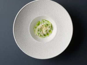 Fizz pasta tallerken 250 mm - Billede 4