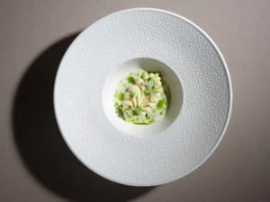Fizz pasta tallerken 250 mm - Billede 6