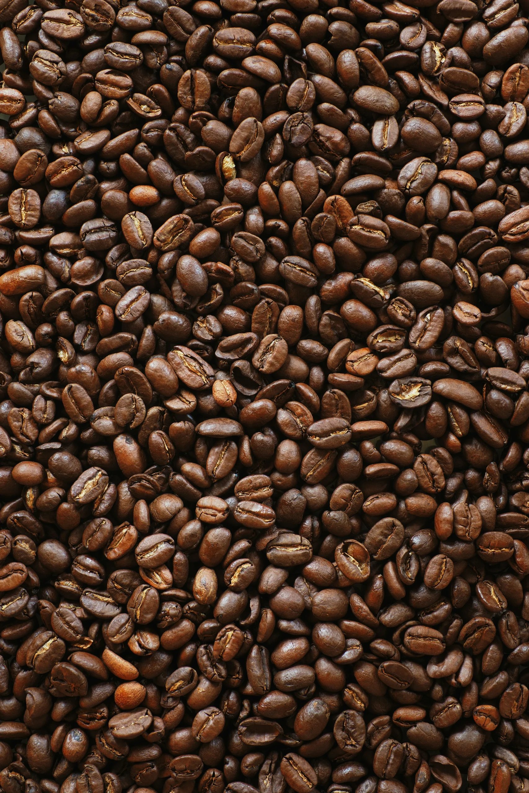 Nærbillede af ristede kaffebønner
