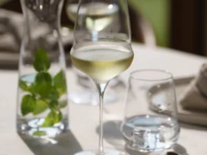 Stölzle Lausitz Cocoon Hvidvinsglas - 485 ml. - Billede 3