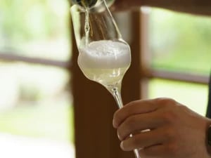Stölzle Lausitz Cocoon Champagneglas - 340 ml. - Billede 3