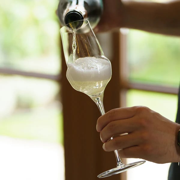 Stölzle Lausitz Cocoon Champagneglas - 340 ml. - Billede 3