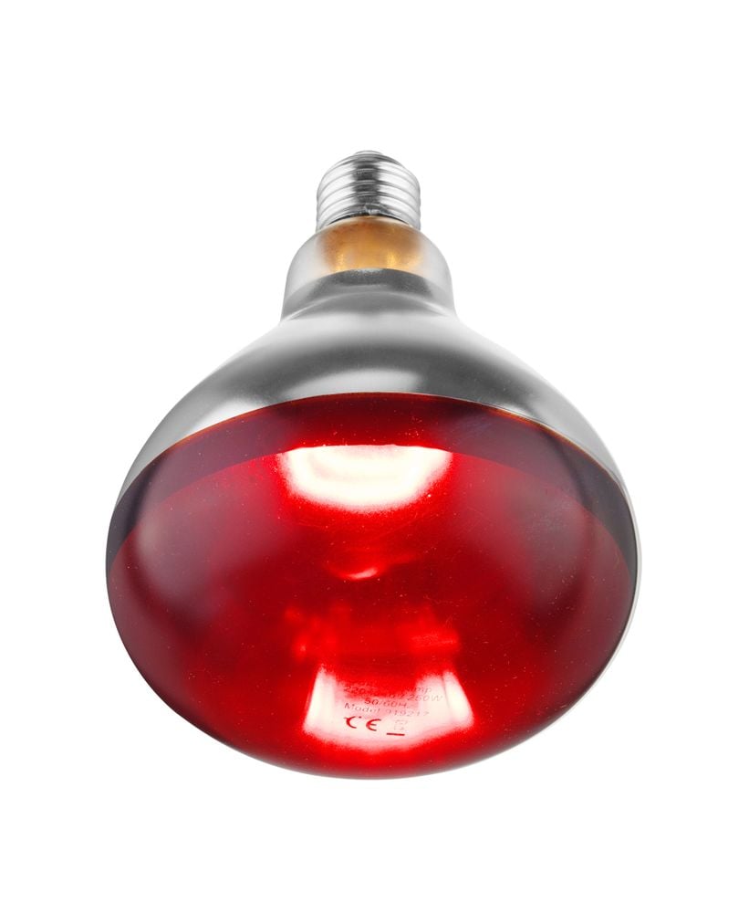 infrarød varmepære, 250w - Billede 6