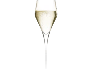 Stölzle Lausitz Champagne Glas Quatrophil - 29 cl.