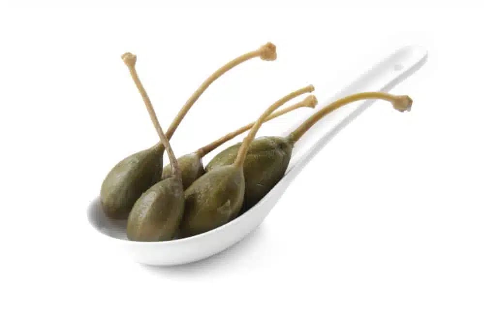 Tapas skål Cuchara - 6 stk, 130x43x(H)26mm - Billede 2
