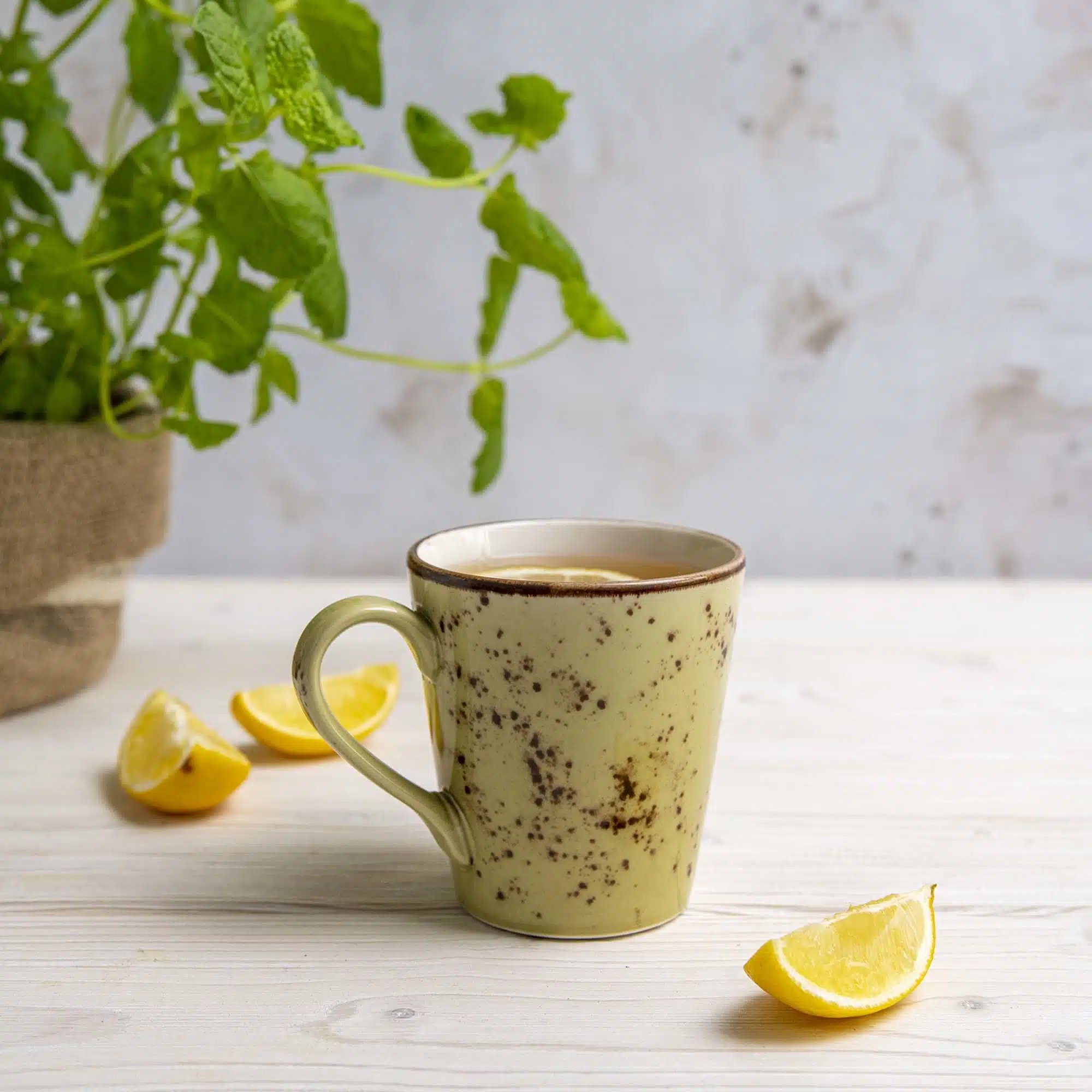 Olive krus, 280 ml - Billede 5