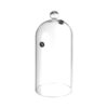 Glas cloche med en ventilationsåbning, 30x(H)282mm