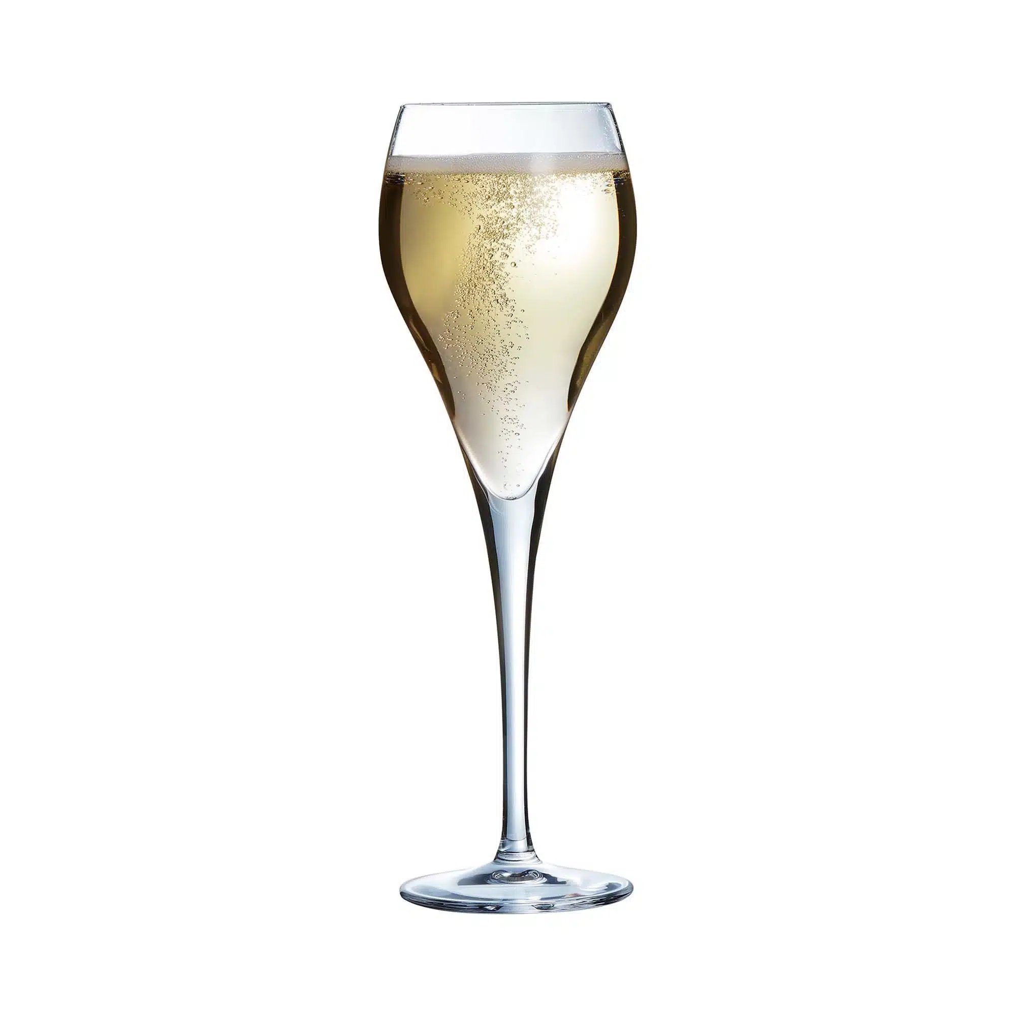 Brio Fløjte champagneglas, 160ml