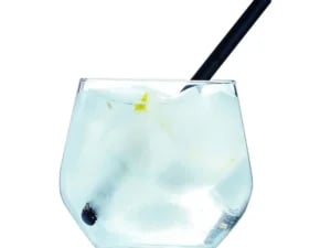 Vinglas Juliette 350 ml