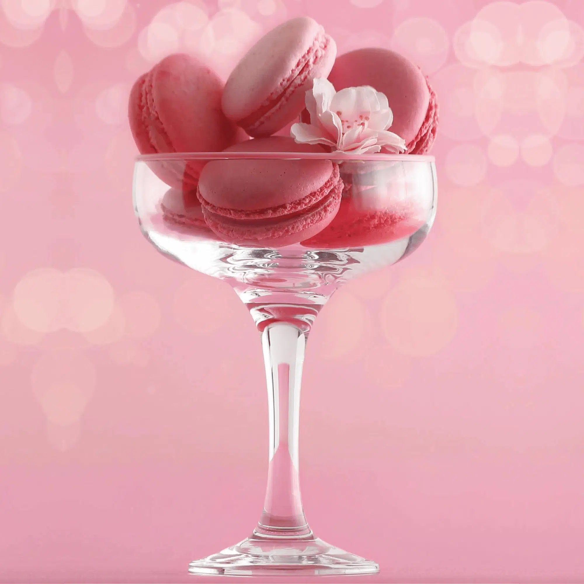 Misket champagneglas 235 ml