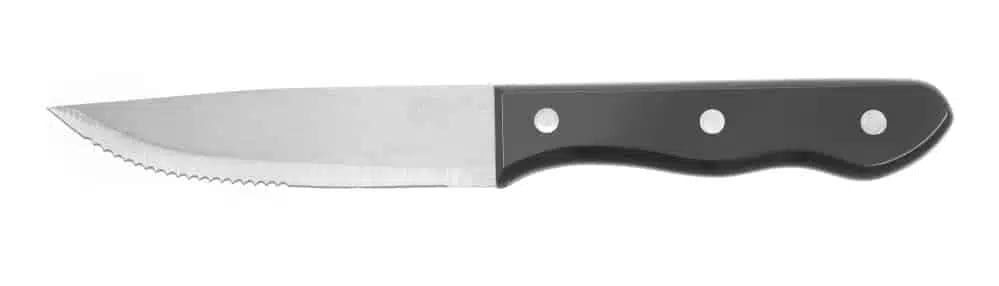 Steakkniv XL – 6 stk, Profi Line, (L)250mm, rustfrit stål med ABS håndtag