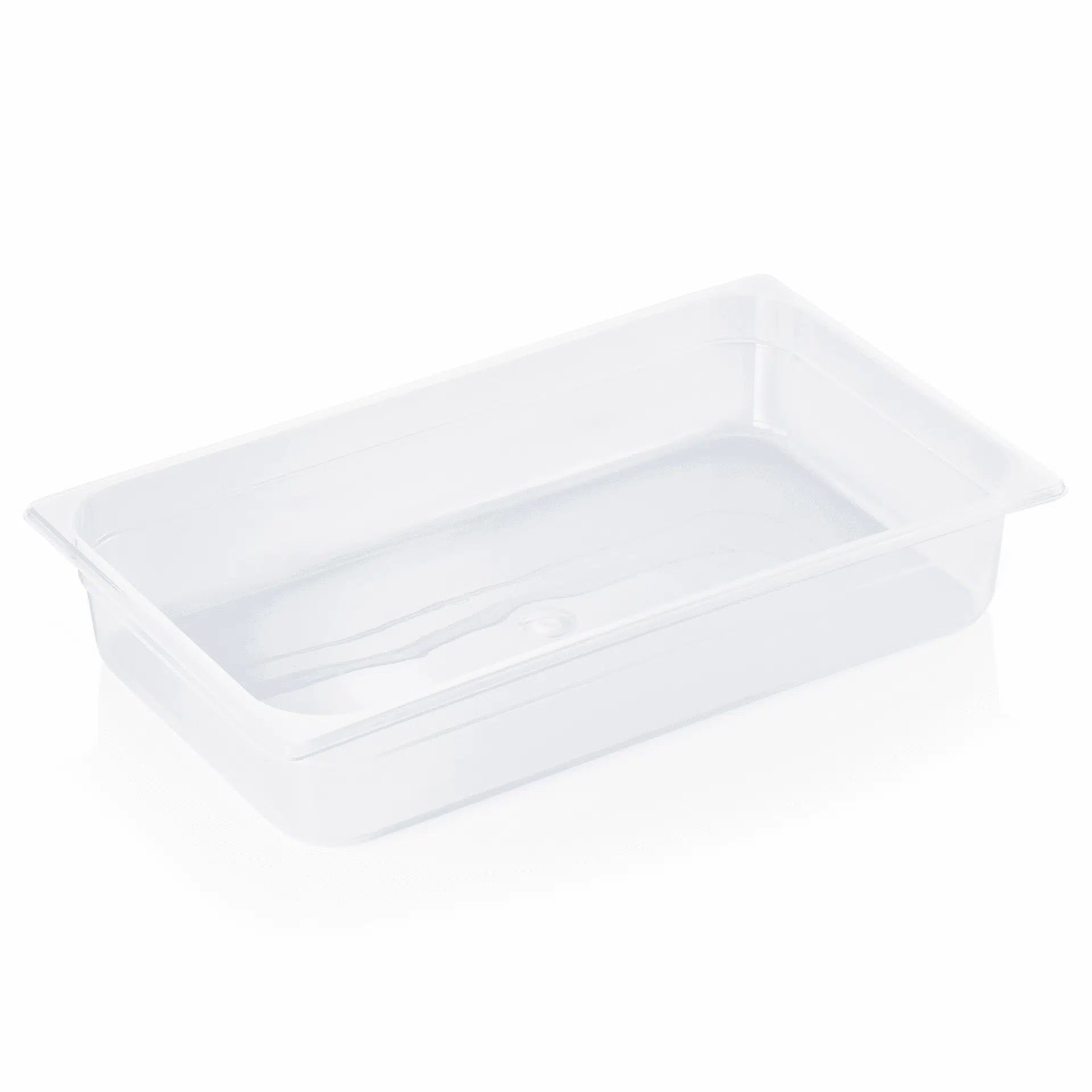Kantine 1/1 GN 100mm Plast