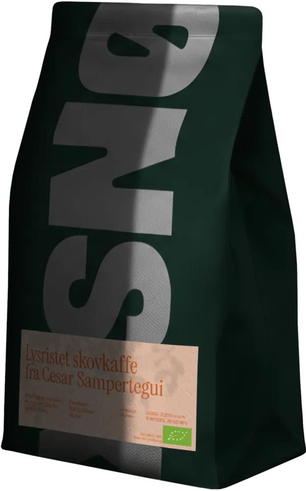 Cesar Sampertegui 1000g Lysristet kaffe